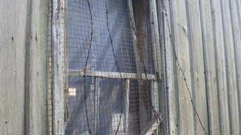 Photo from Ottawa Journal