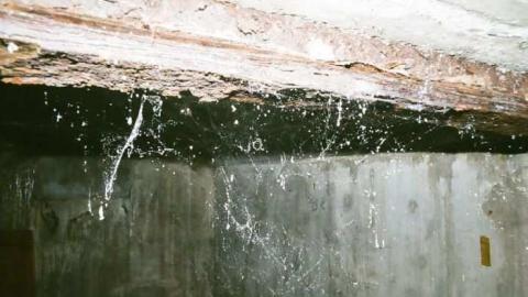 Tunnel '11 - G.E.C.O.6.jpg