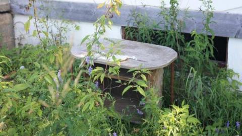 July 2014 - Wheel-In-Cafe7.jpg