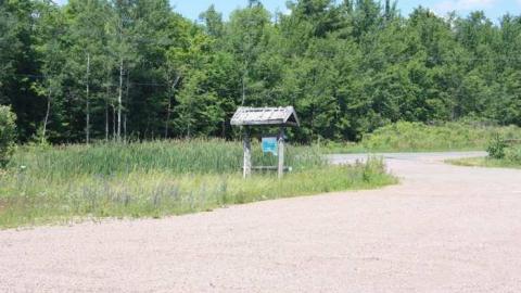 Wheel In Cafe photo 5