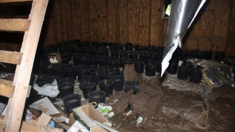 July 2014 - Green-Thumb--Black-Kitchen11.jpg