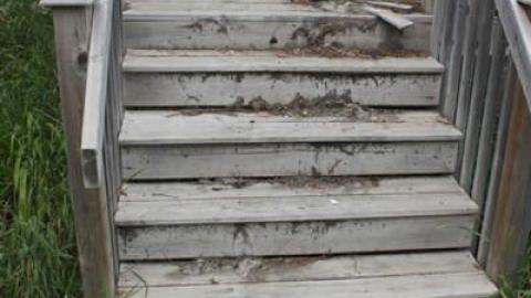 July 2014 - Green-Thumb--Black-Kitchen23.jpg