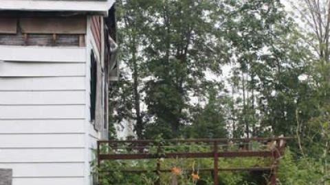 July 2014 - Green-Thumb--Black-Kitchen26.jpg