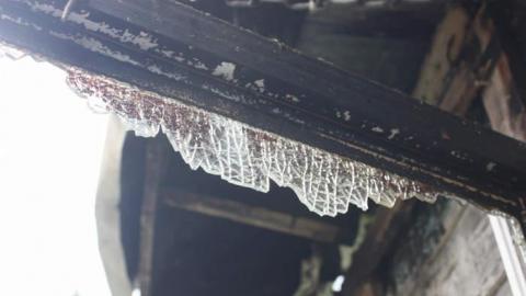 July 2014 - Green-Thumb--Black-Kitchen17.jpg