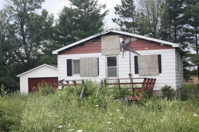 Green Thumb - Black Kitchen - Ottawa, Ontario