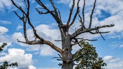 Oct 2014 - 407-Barn27.jpg