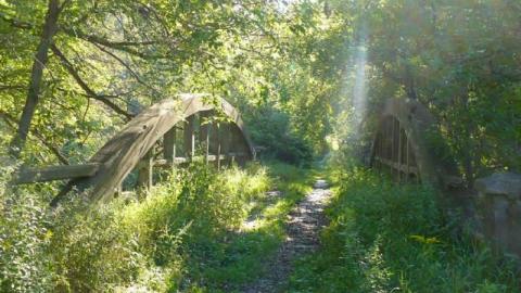 Humber Bridge - HVHT-Bridge1.jpg
