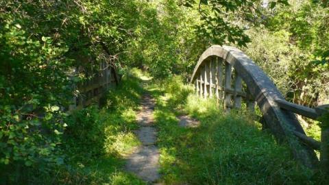 McEwen Bridge - Vaughan, Ontario