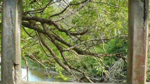 McEwen Bridge photo 5