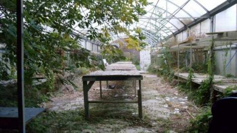 Where's the Wicker? Sept.14 - European-Wicker-Imports141.jpg