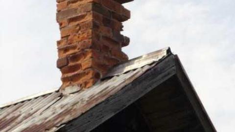 Photo from How many woodchips?