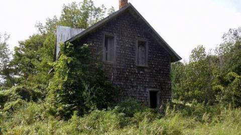 Photo from How many woodchips?