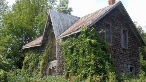 How many woodchips? - Woodchip (23).jpg