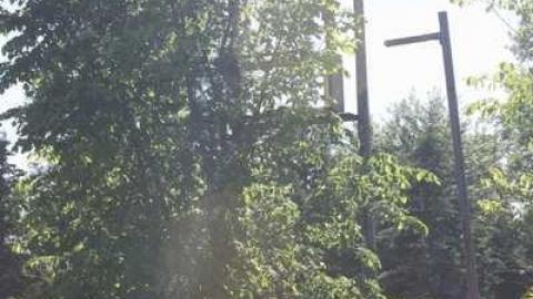 Photo from June 2014