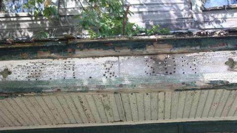 Sep 2014 - Balaclava-(ghost-town)27.jpg