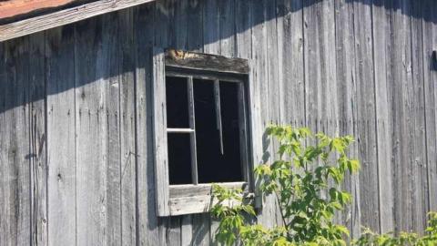 Sep 2014 - Balaclava-(ghost-town)31.jpg