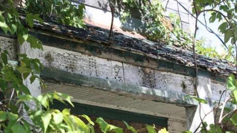 Sep 2014 - Balaclava-(ghost-town)43.jpg