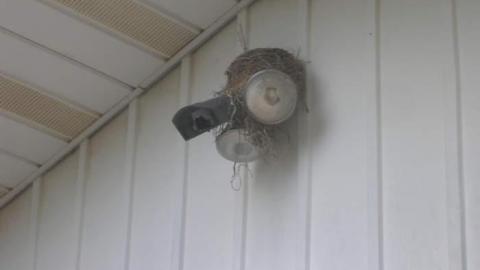 Sept 2014 - Two-for-the-Show,-or-Plow1.jpg