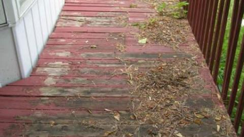 Sept 2014 - Two-for-the-Show,-or-Plow18.jpg