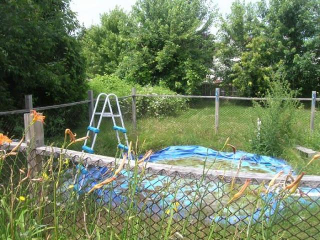 Two for the Show, or Plow photo 3