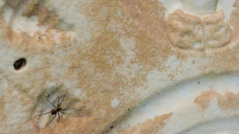 In Death's Cold Arms Lies Here - Big-Bend-Pioneer-Cairn27.jpg