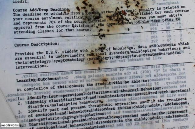 Big Bend Pioneer Cairn photo 5