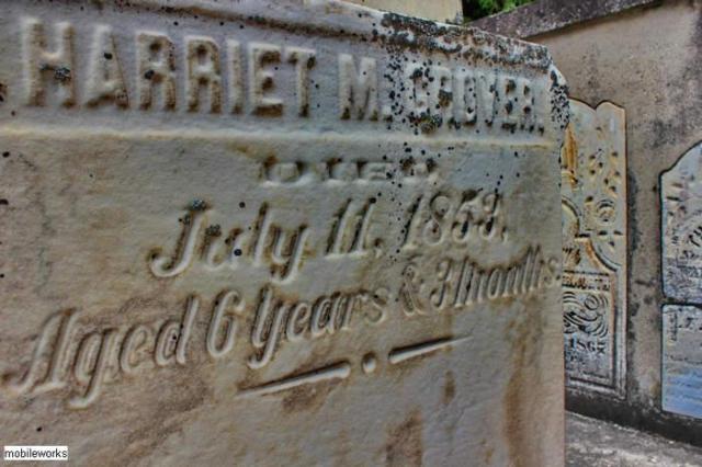 Big Bend Pioneer Cairn photo 2