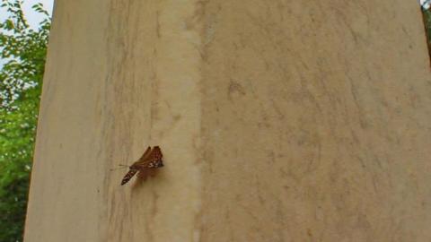 In Death's Cold Arms Lies Here - Big-Bend-Pioneer-Cairn32.jpg