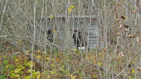 Pallisades Palace - Pallisades-Palace7.jpg