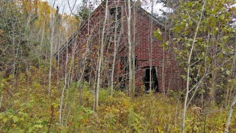 Pallisades Palace photo 3