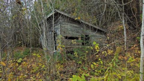 Pallisades Palace photo 5