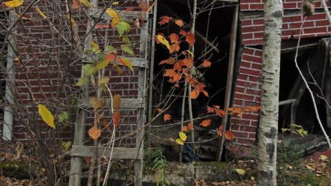 Pallisades Palace photo 4