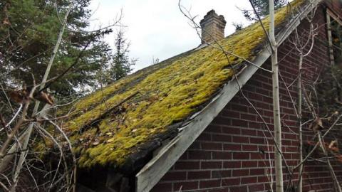 Pallisades Palace - Pallisades-Palace5.jpg