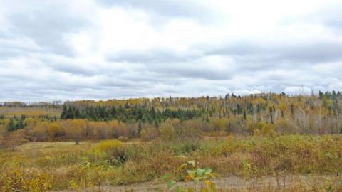 Pallisades Palace - Pallisades-Palace6.jpg