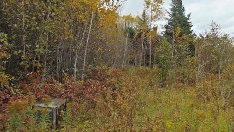 Pallisades Palace - Pallisades-Palace12.jpg