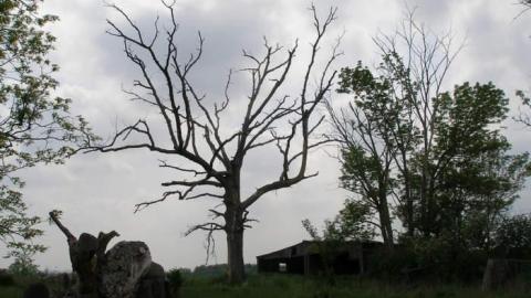 May 2013 - 407-Barn18.jpg