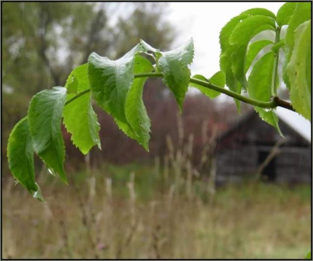 Black in White - Black in White 02.jpg