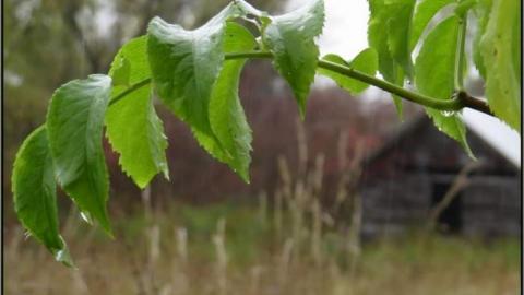 Black in White - Black in White 02.jpg