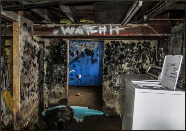 Black in White - Black in White 08.jpg