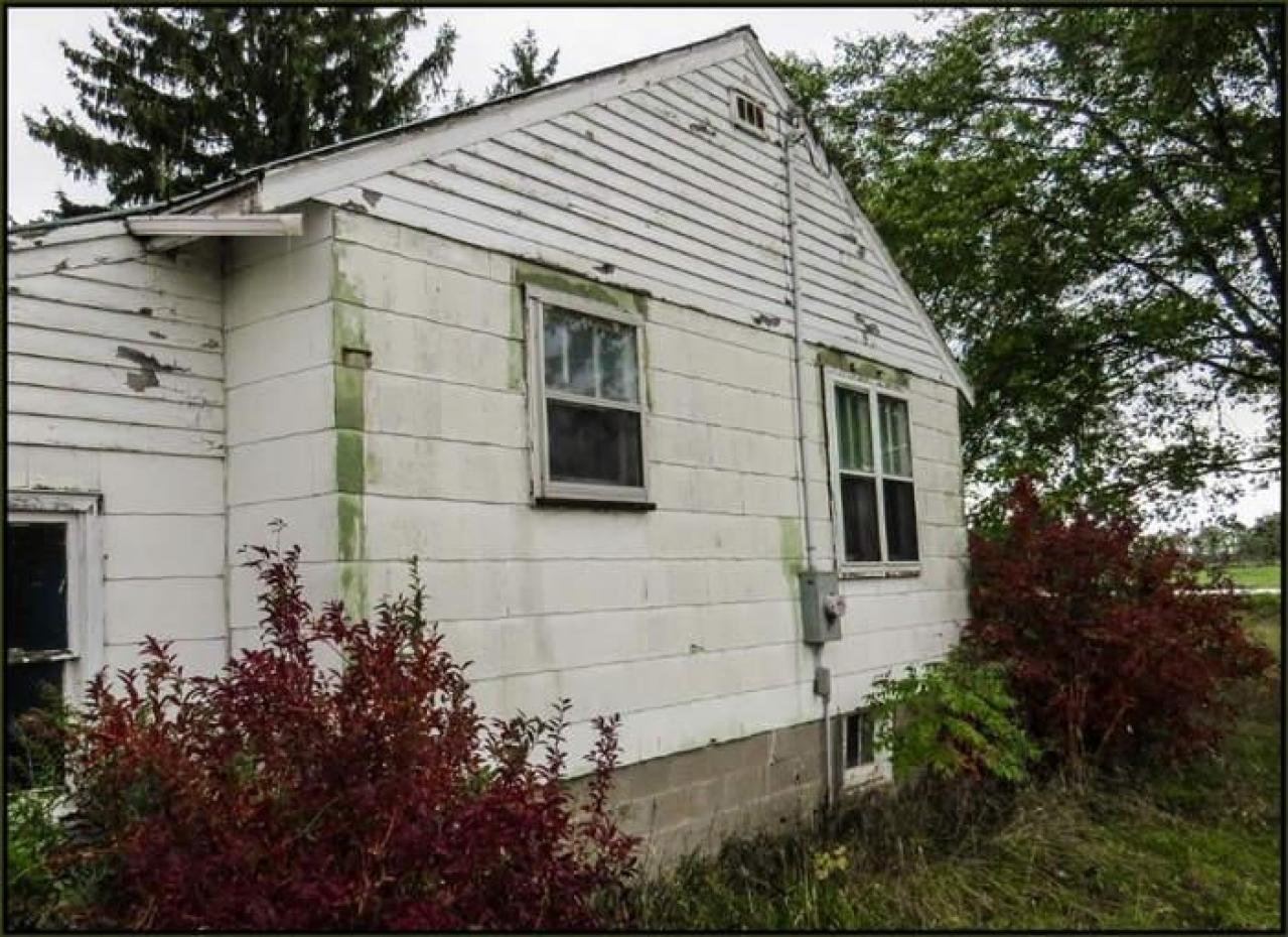 Black in White - Black in White 10.jpg