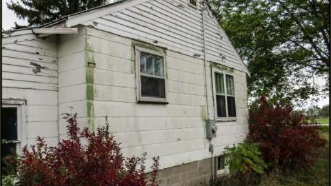 Black in White - Black in White 10.jpg