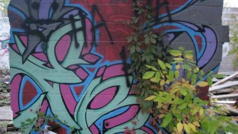 Dragway September 30, 2014 - Windsor-Dragway82.jpg