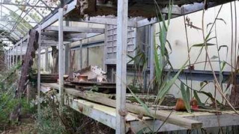 Mosquito Fest '14 - European-Wicker-Imports34.jpg