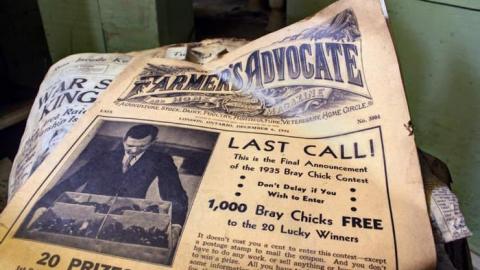 Mad Bull Kills Ex-Warden - War-Still-On-Japs-Mum3.jpg