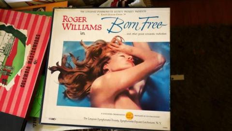 Photo from Mad Bull Kills Ex-Warden