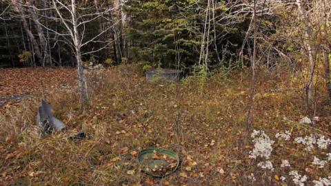 Hidden off the Highway - Hidden-off-the-Highway7.jpg