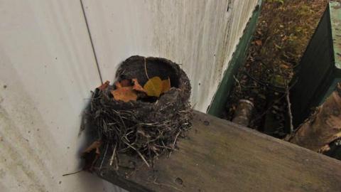 Hidden off the Highway photo 5