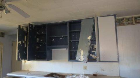 Photo from Fall 2014