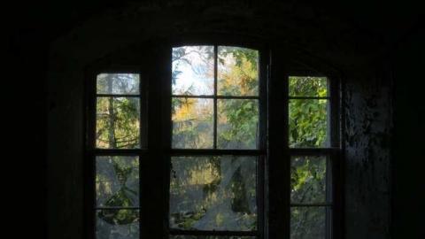 Photo from Fall 2014