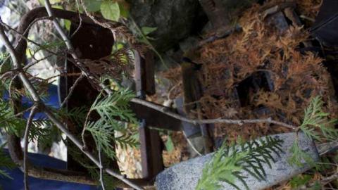 2014 Visit - Progreston-(ghost-town)55.jpg